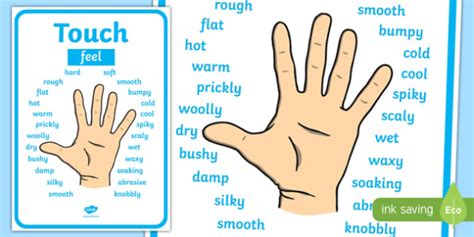 touch in English .